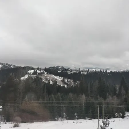 Apartment Grun Yablunytsya